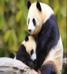 صورة 1